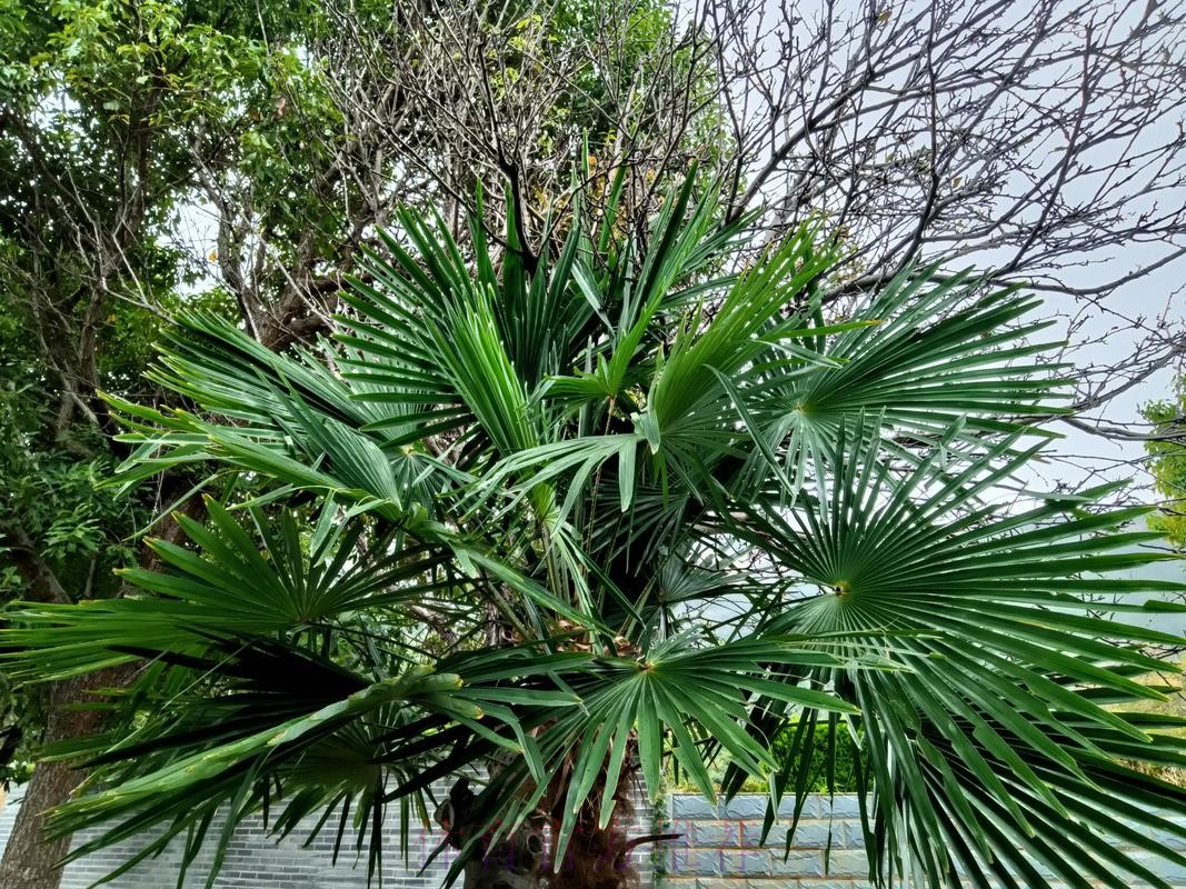 维杜：不够专注致丢球 对方的长传球具威胁